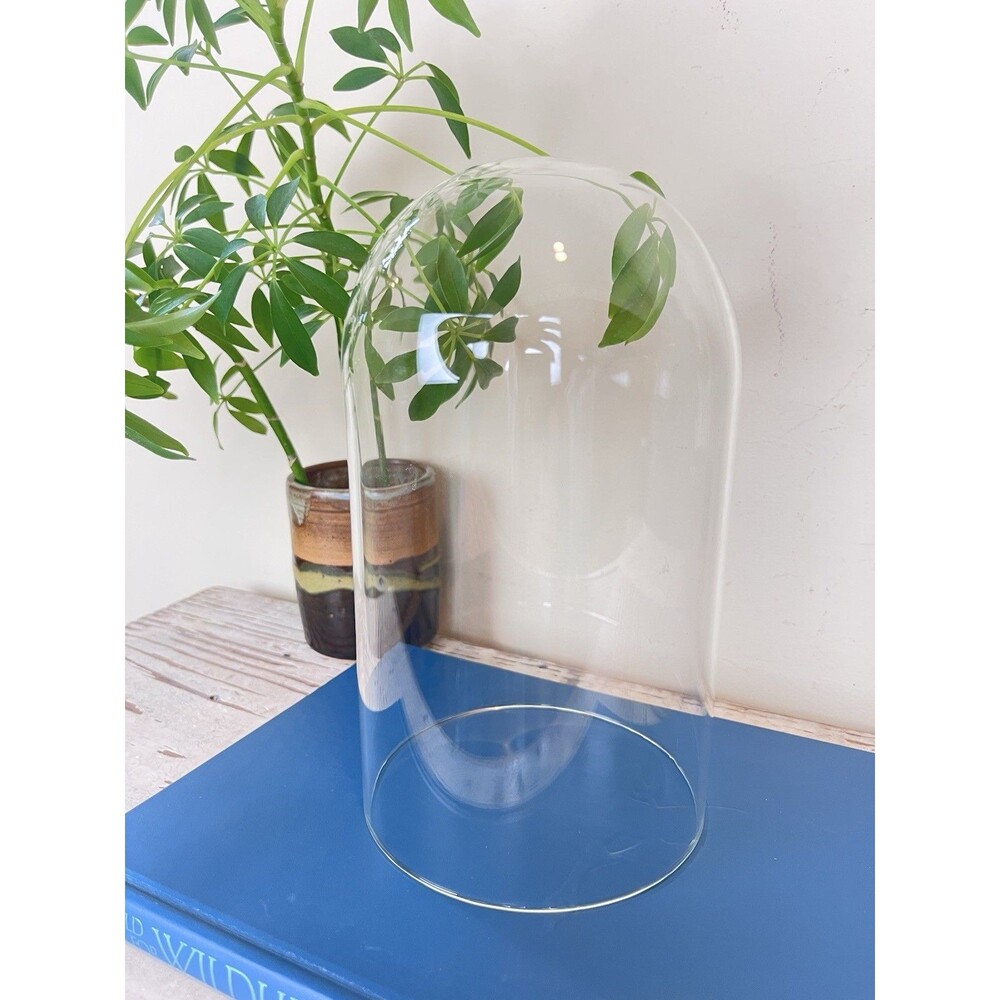 Vintage Glass Display Cloche Dome To Showcase Collectibles 8” x 5” Plants Home